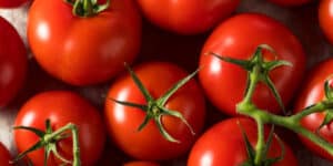 Can Bearded Dragons Eat Tomatoes? (Full Guide) – Reptiles Time